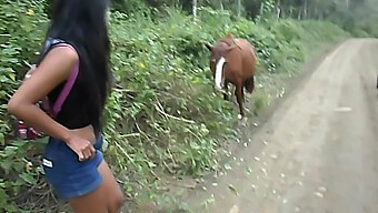 Young Thai Teen Experiences Horse Sex And Creampie In Full Hd Video