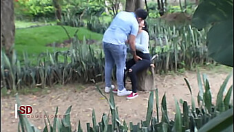 Observando En Secreto Un Par En El Parque Para El Porno Casero