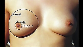 A Collection Of Various Boobs In One Video