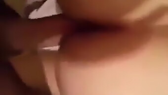 Seins Arabes En Action: Vidéo Amateur Algérienne