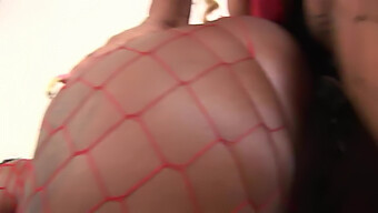 Hermosas Mujeres Gordas Con Grandes Tetas Naturales Se Ponen Kinky Con Un Arnés En Un Video Caliente