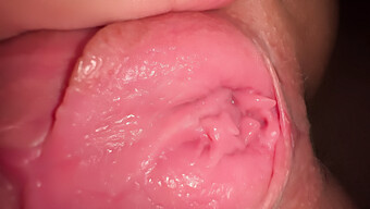 Arousing Up-Close View Of Self-Pleasure, Authentic Teen Climax