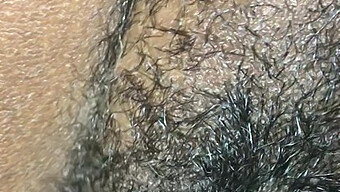 Vagina Hitam Berbulu Mendapatkan Kontol Besar